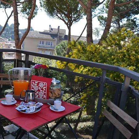 Angolo Sul Giardino B&B